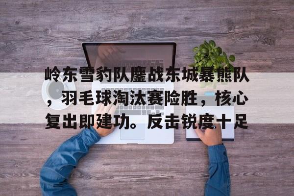 开元网址入口岭东雪豹队鏖战东城暴熊队，羽毛球淘汰赛险胜，核心复出即建功。反击锐度十足的简单介绍